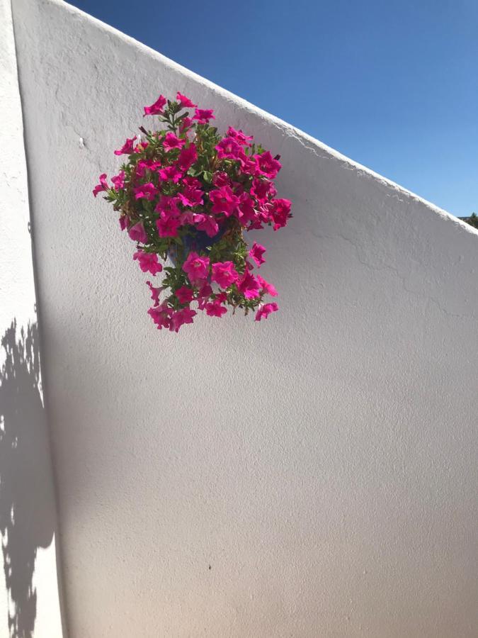 אמפוריבראבה Bonita Casa Adosada מראה חיצוני תמונה